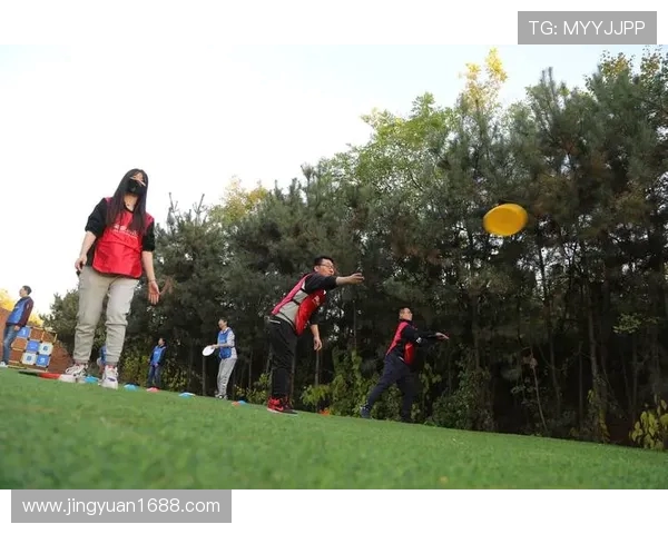 飞盘热潮席卷西安飞盘队如何引领力量与团结的变革